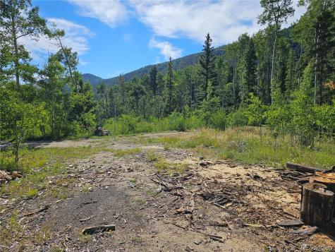 19039 Monarch River Drive Salida CO 81201