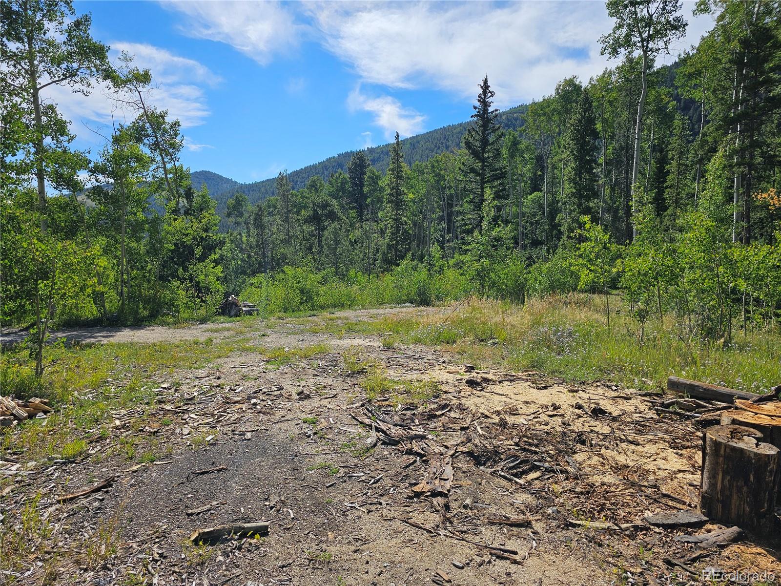 19039 Monarch River Drive Salida CO 81201