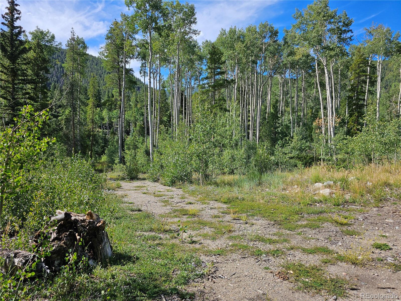 19039 Monarch River Drive Salida CO 81201