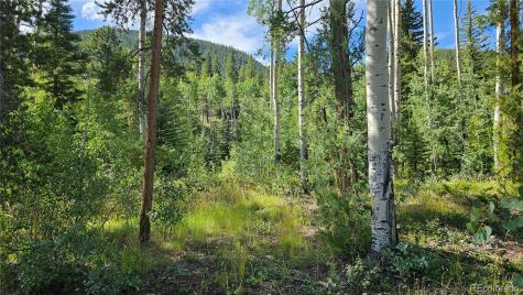 19039 Monarch River Drive Salida CO 81201