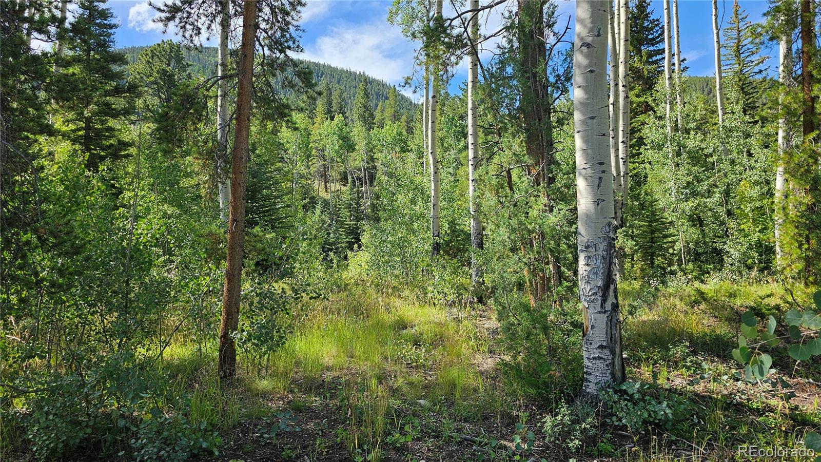 19039 Monarch River Drive Salida CO 81201