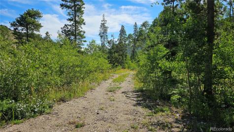 19039 Monarch River Drive Salida CO 81201