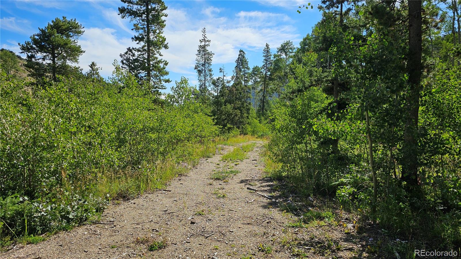 19039 Monarch River Drive Salida CO 81201