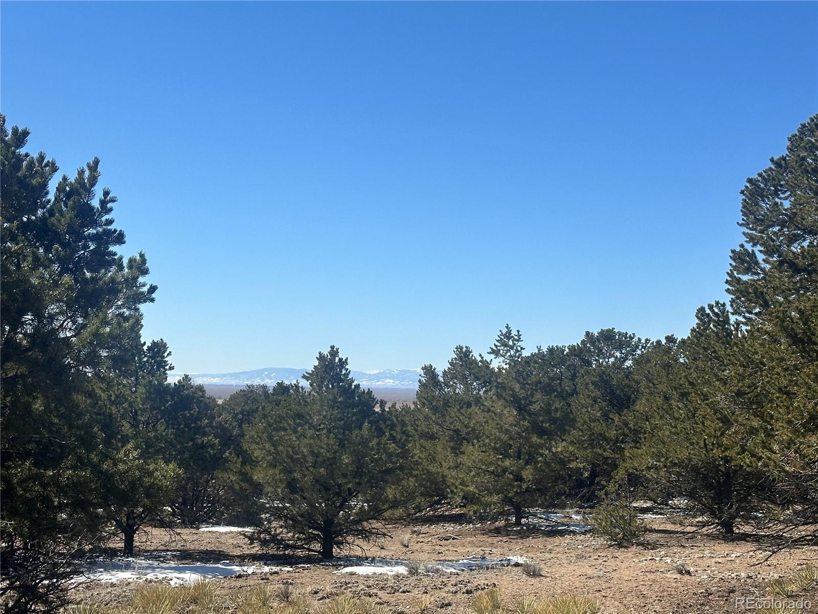 4117 Cordial Way Crestone CO 81131