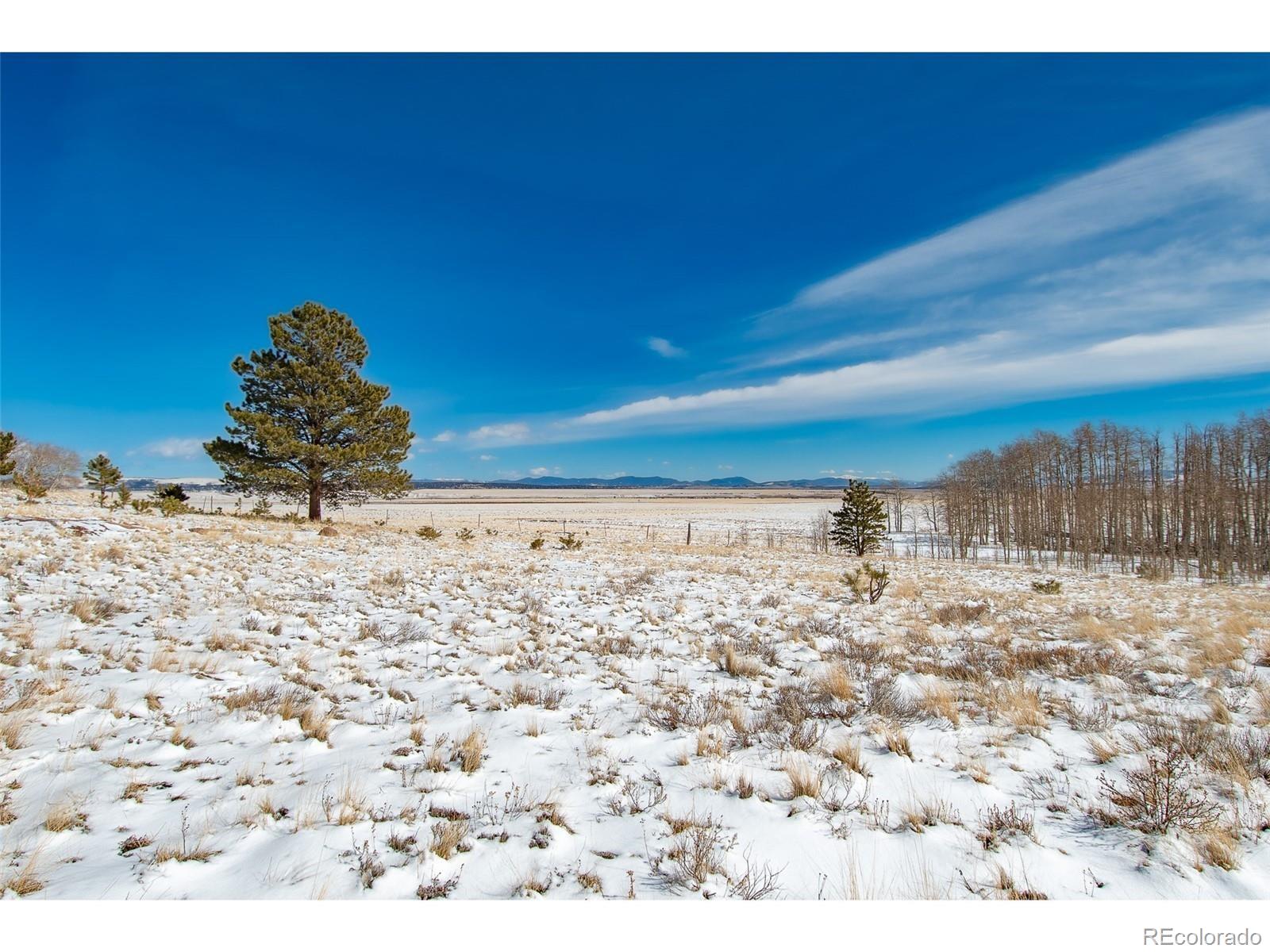 1327 Sheep Ridge Road Fairplay CO 80440