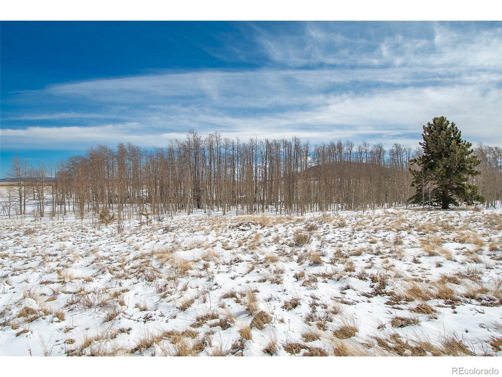 1327 Sheep Ridge Road Fairplay CO 80440