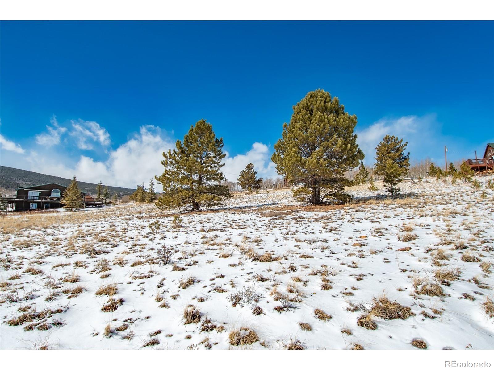 1327 Sheep Ridge Road Fairplay CO 80440