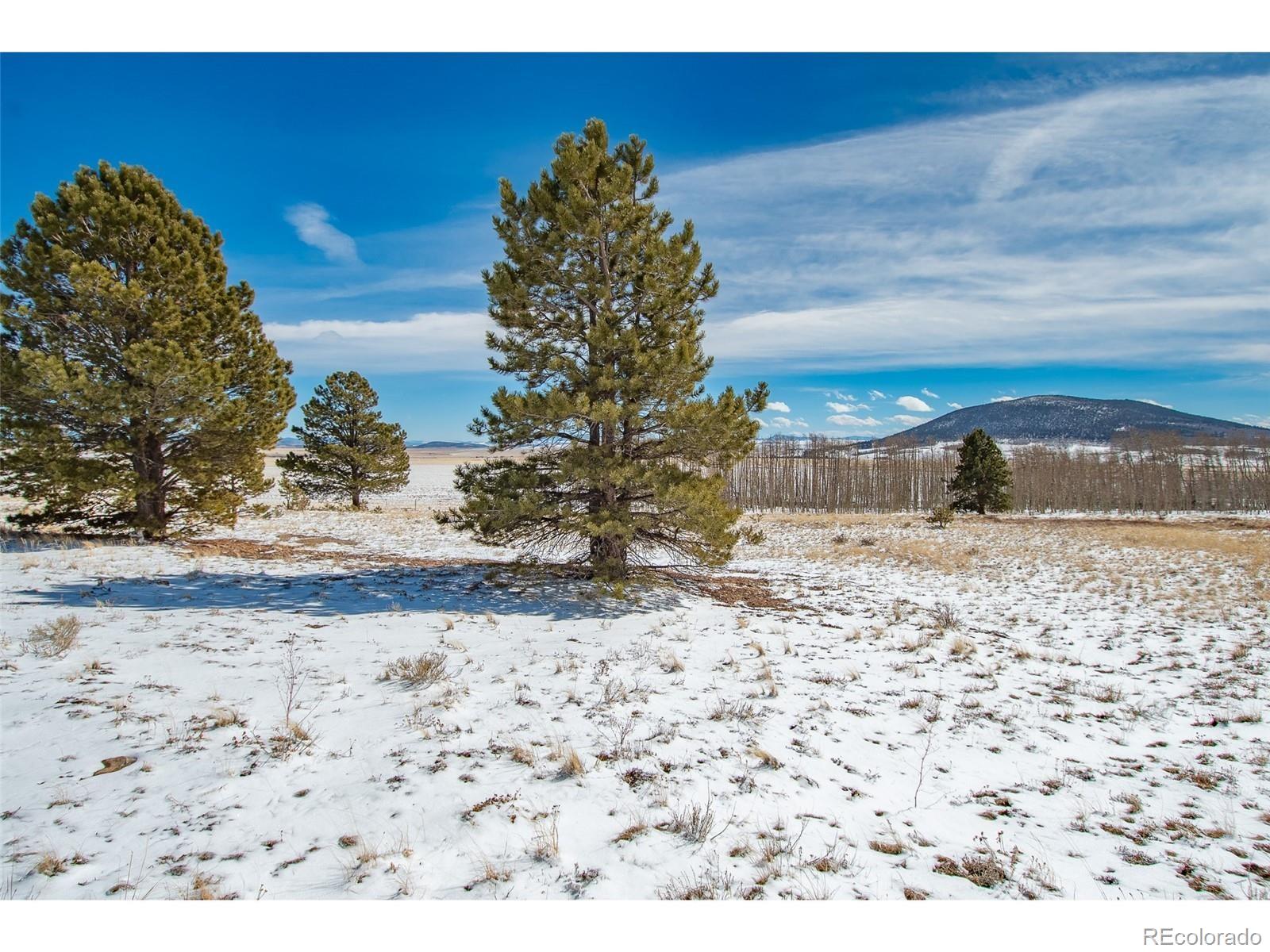 1327 Sheep Ridge Road Fairplay CO 80440