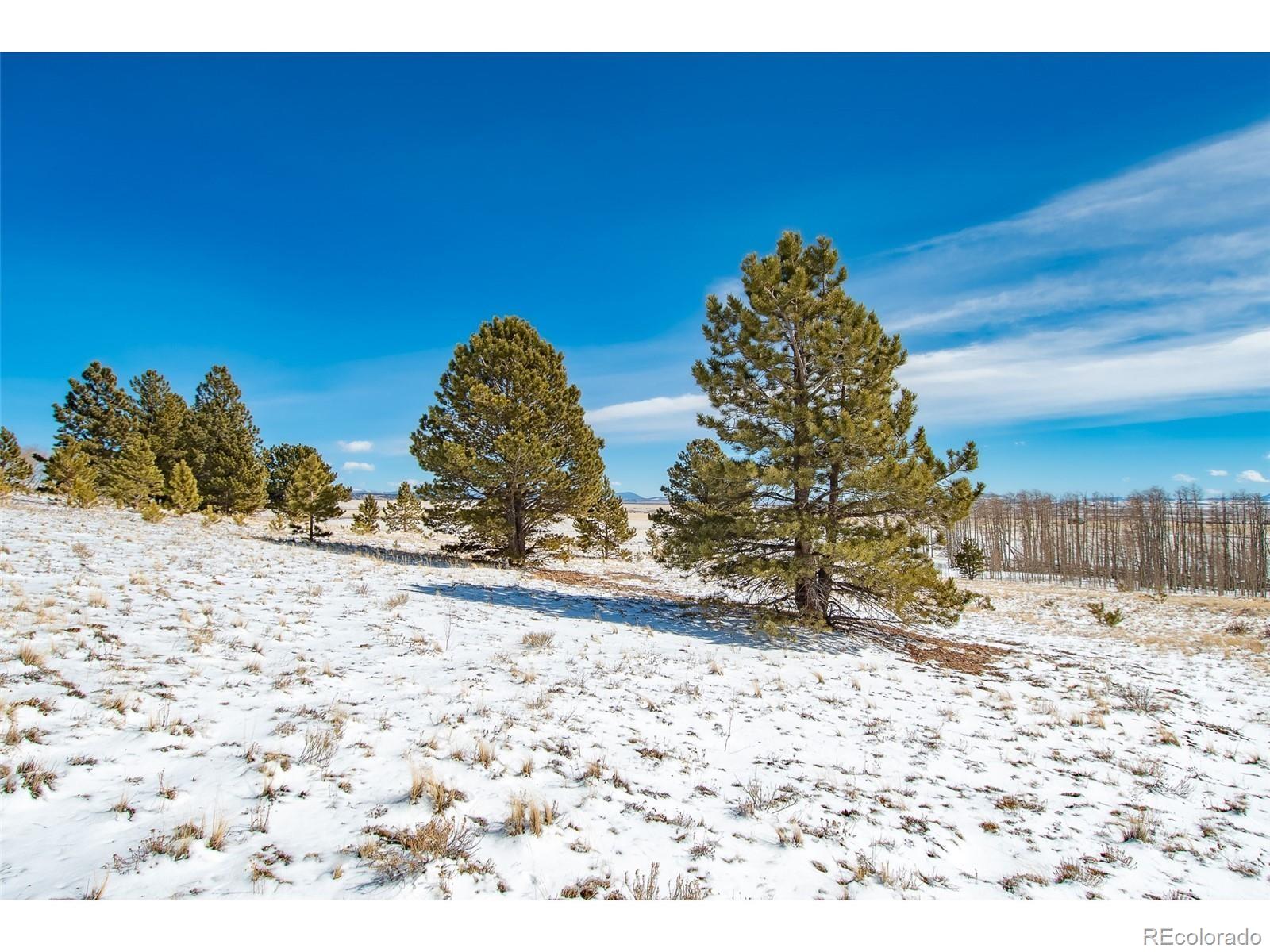 1327 Sheep Ridge Road Fairplay CO 80440
