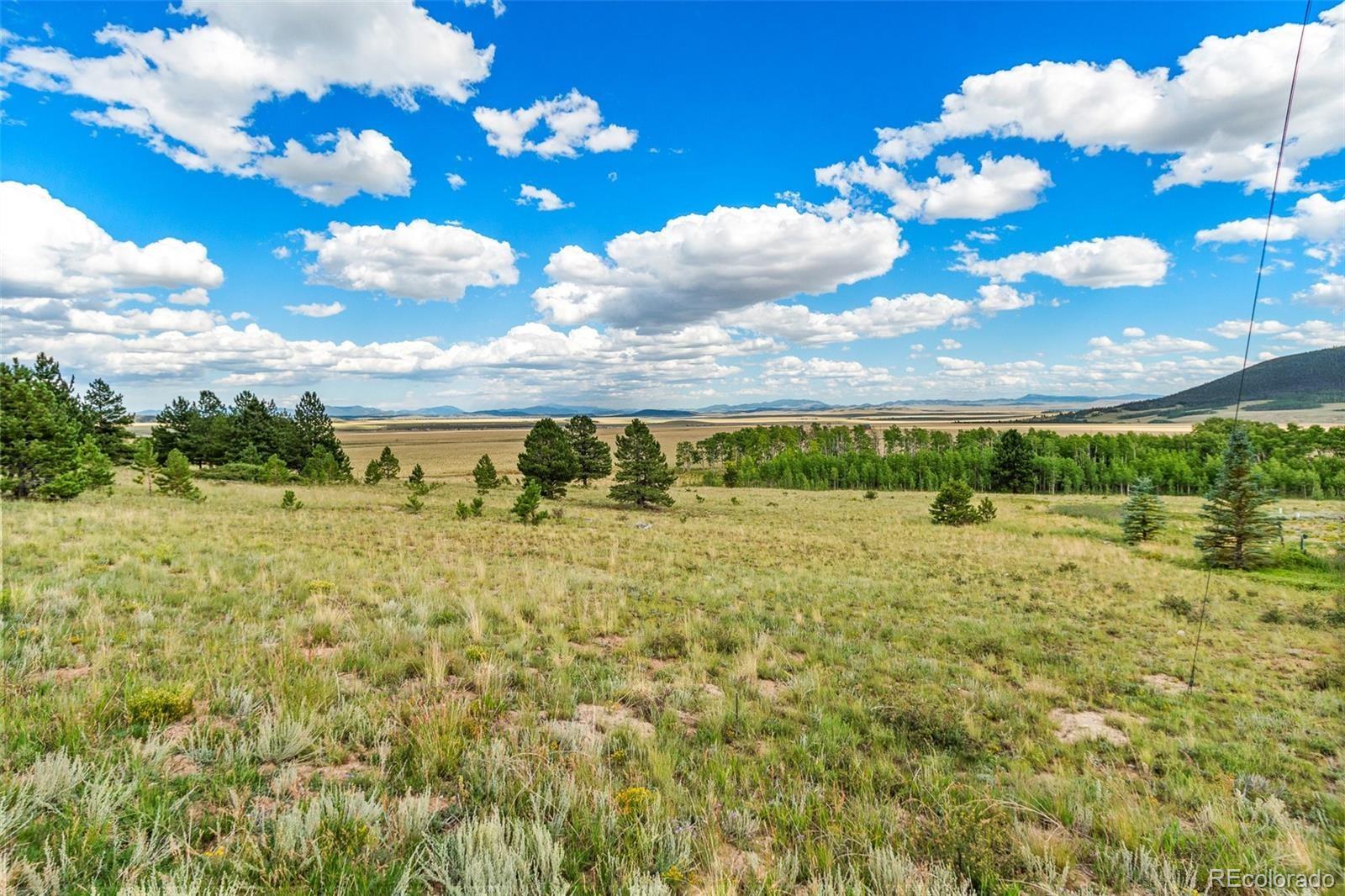 1327 Sheep Ridge Road Fairplay CO 80440