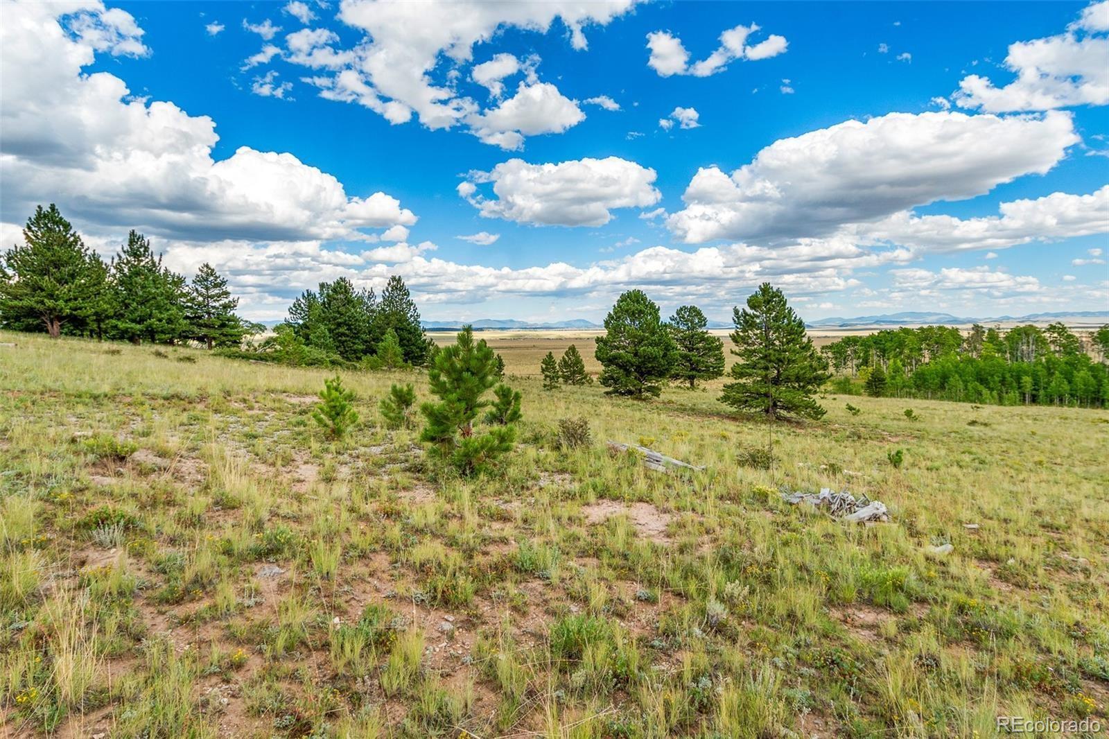 1327 Sheep Ridge Road Fairplay CO 80440
