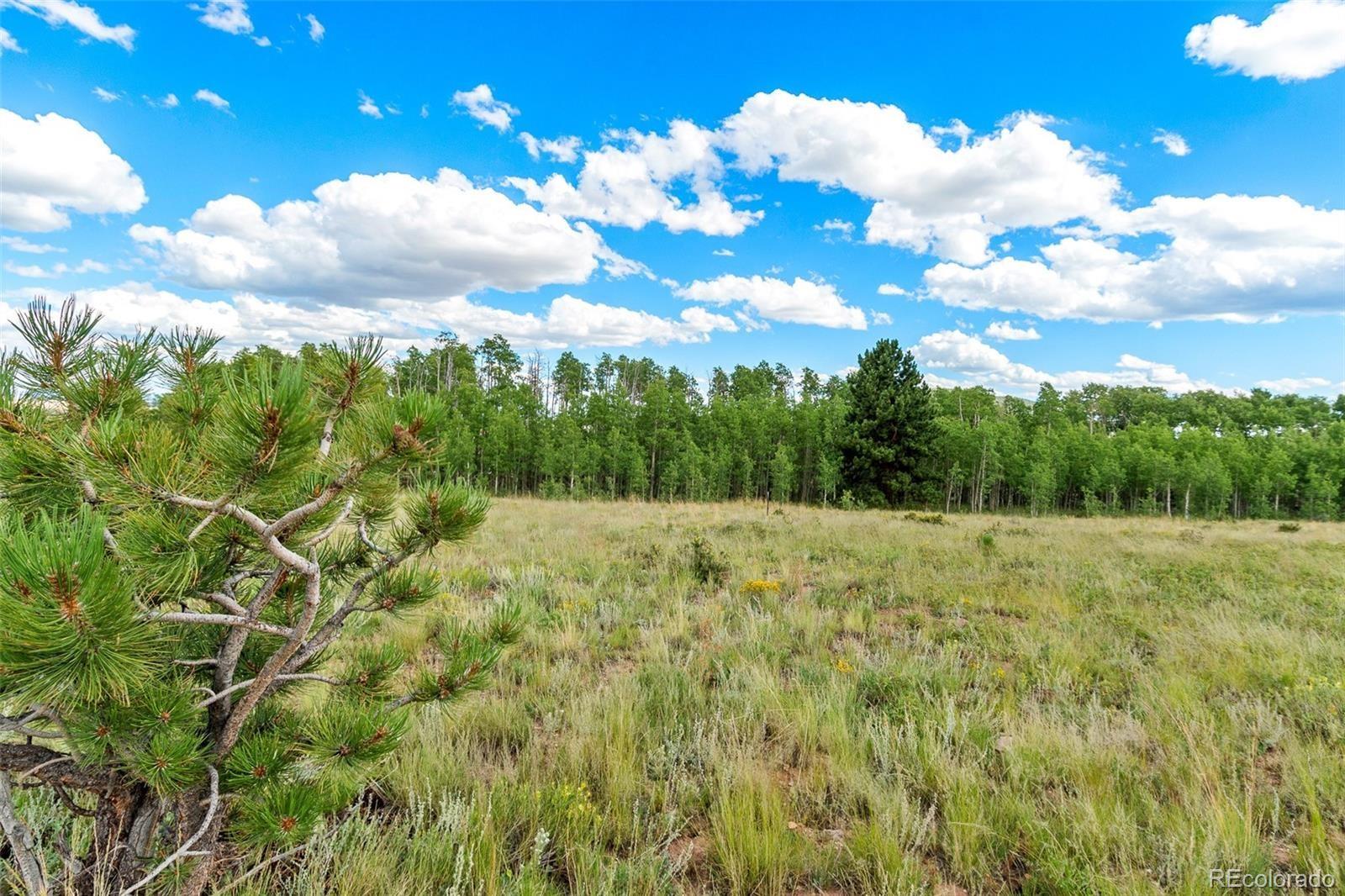 1327 Sheep Ridge Road Fairplay CO 80440