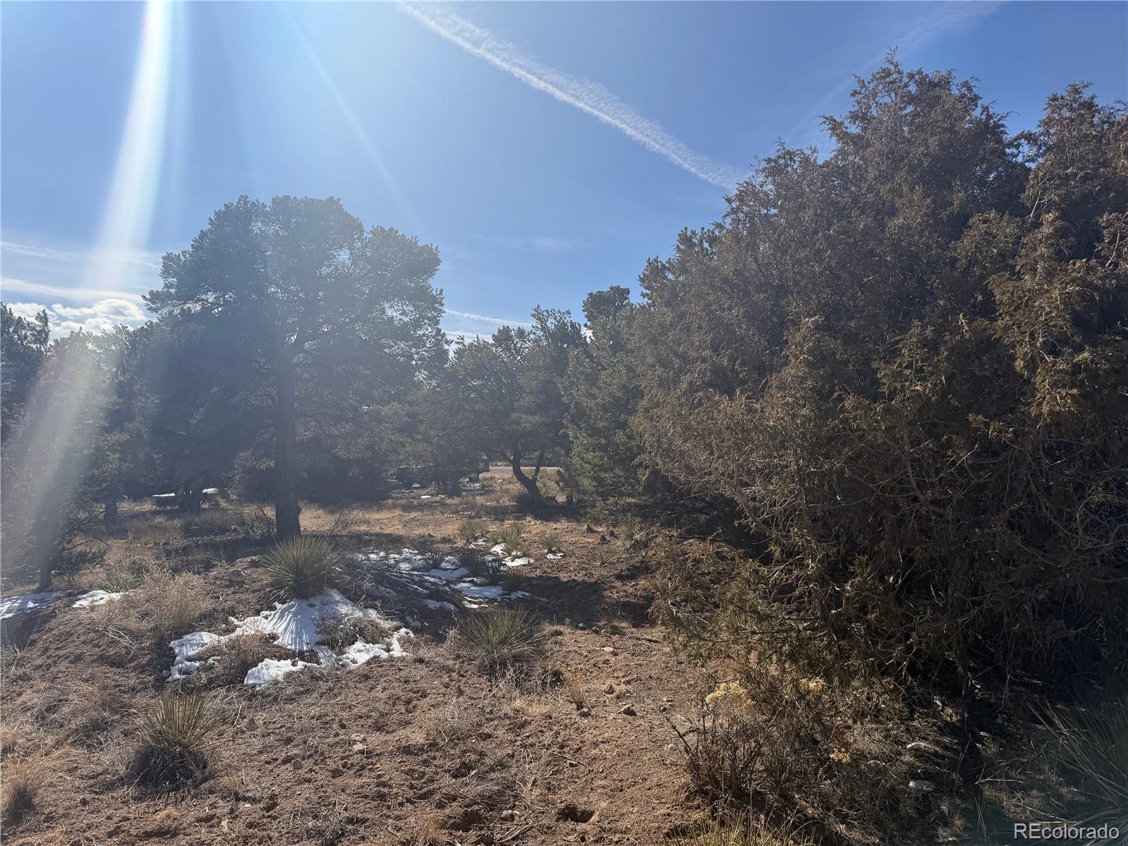 390 Cameron Pass Road South Fork CO 81154