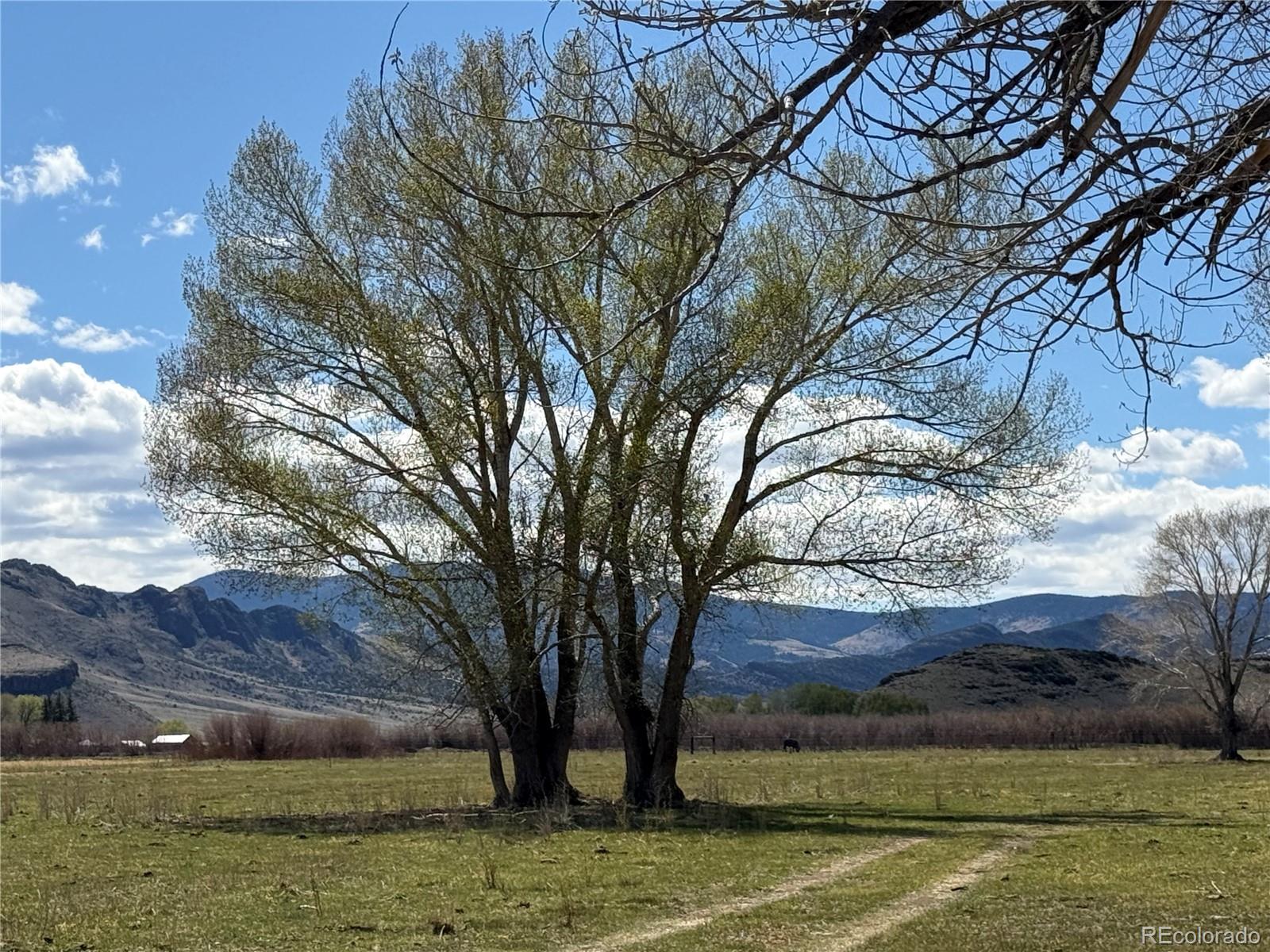 Hazard Ranch Sub Saguache CO 81149