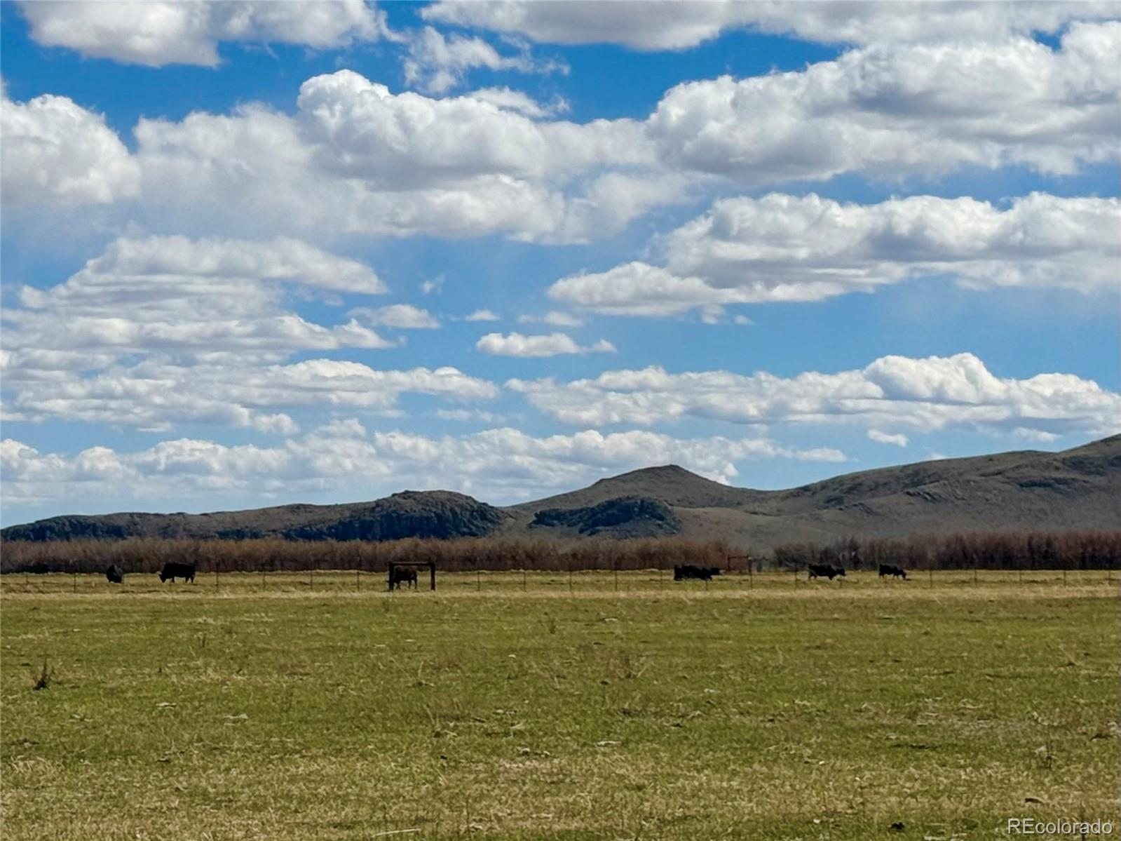 Hazard Ranch Sub Saguache CO 81149