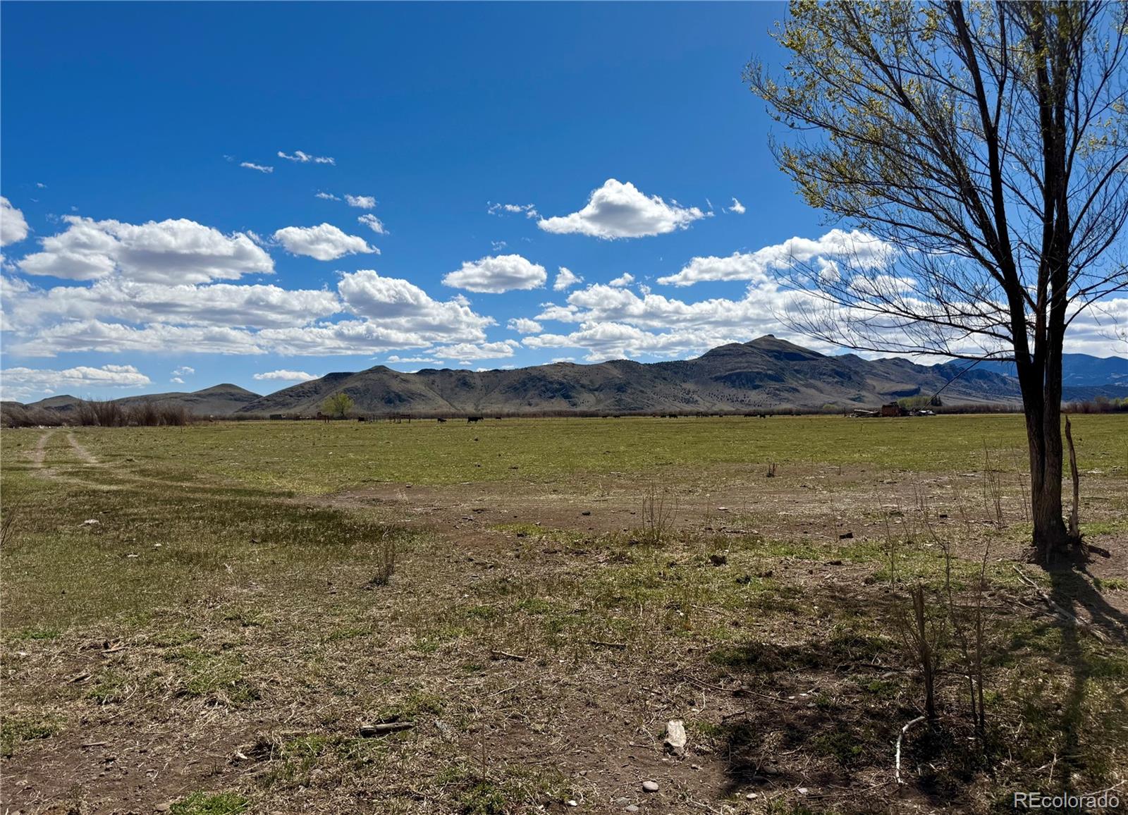 Hazard Ranch Sub Saguache CO 81149