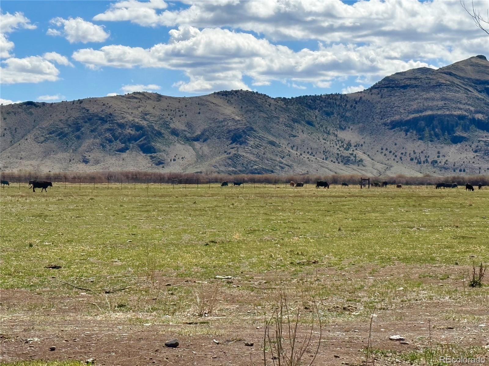 Hazard Ranch Sub Saguache CO 81149