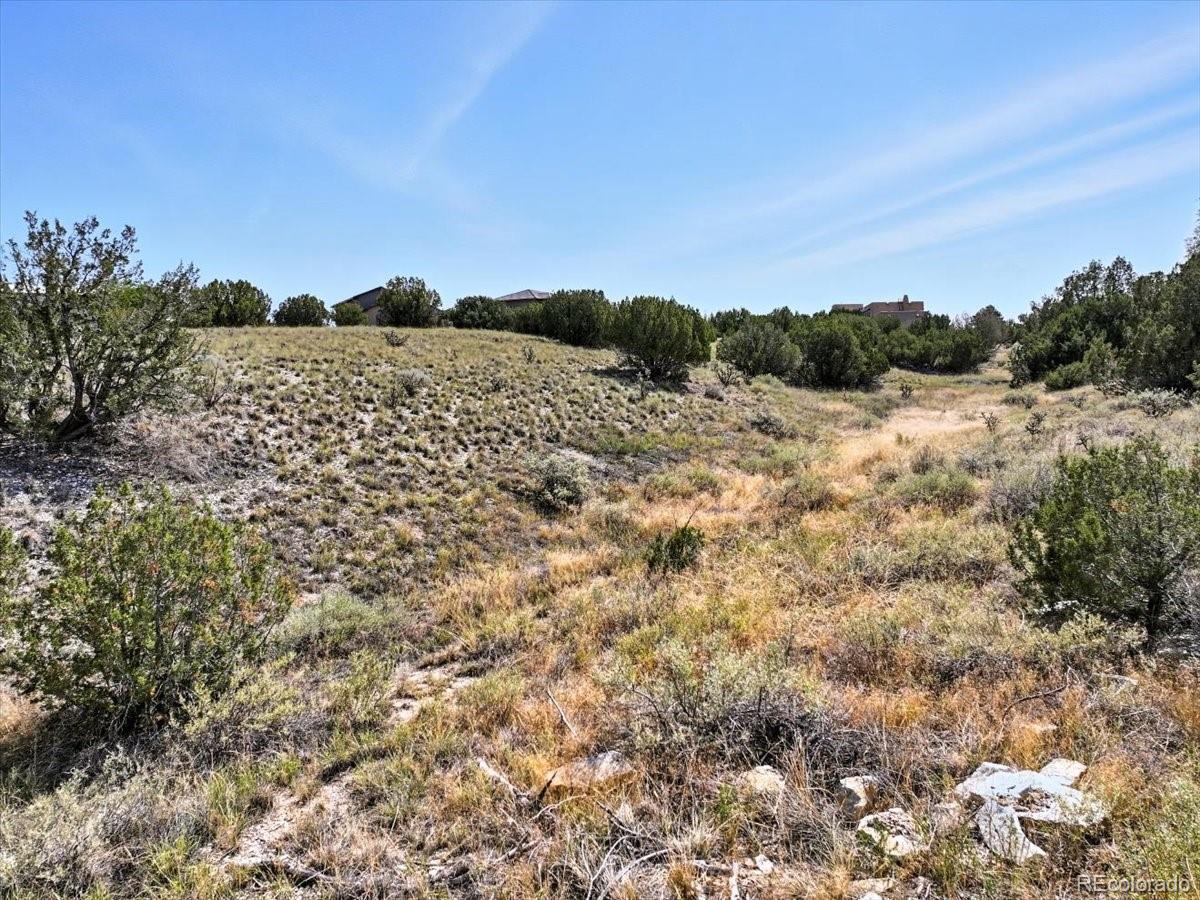 1280 S Renee Place Pueblo CO 81007
