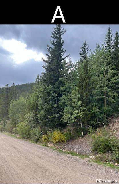 000 Nebraska Drive Idaho Springs CO 80452