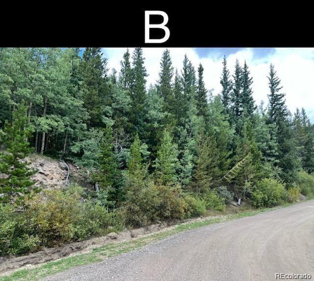 000 Nebraska Drive Idaho Springs CO 80452