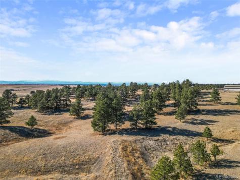 30989 Kootney Street Elizabeth CO 80107
