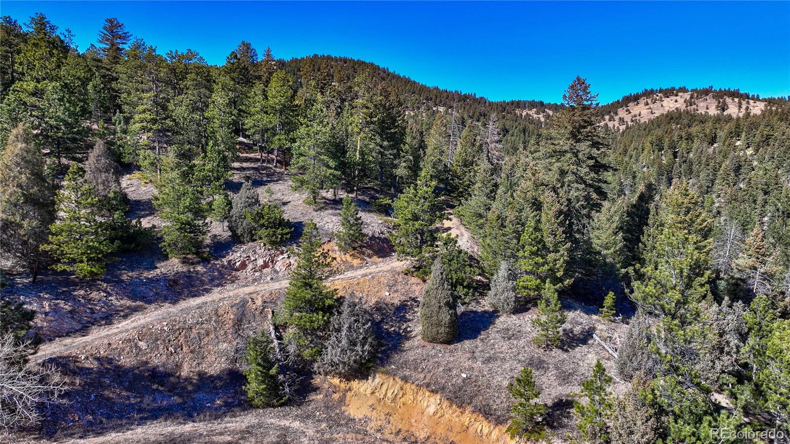 774 Cougar Drive Boulder CO 80302