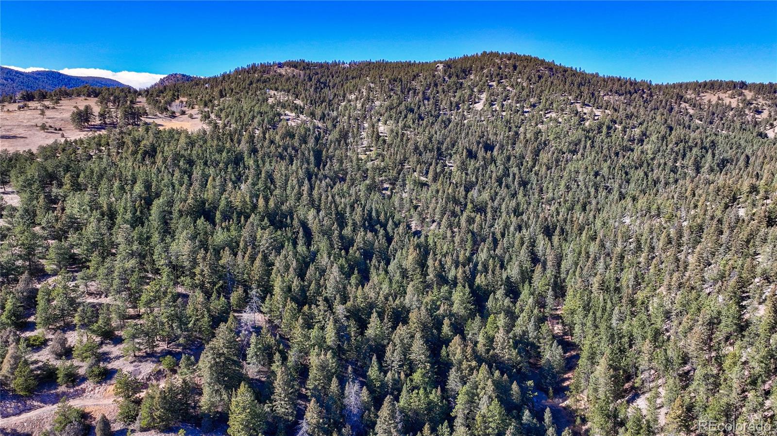 774 Cougar Drive Boulder CO 80302