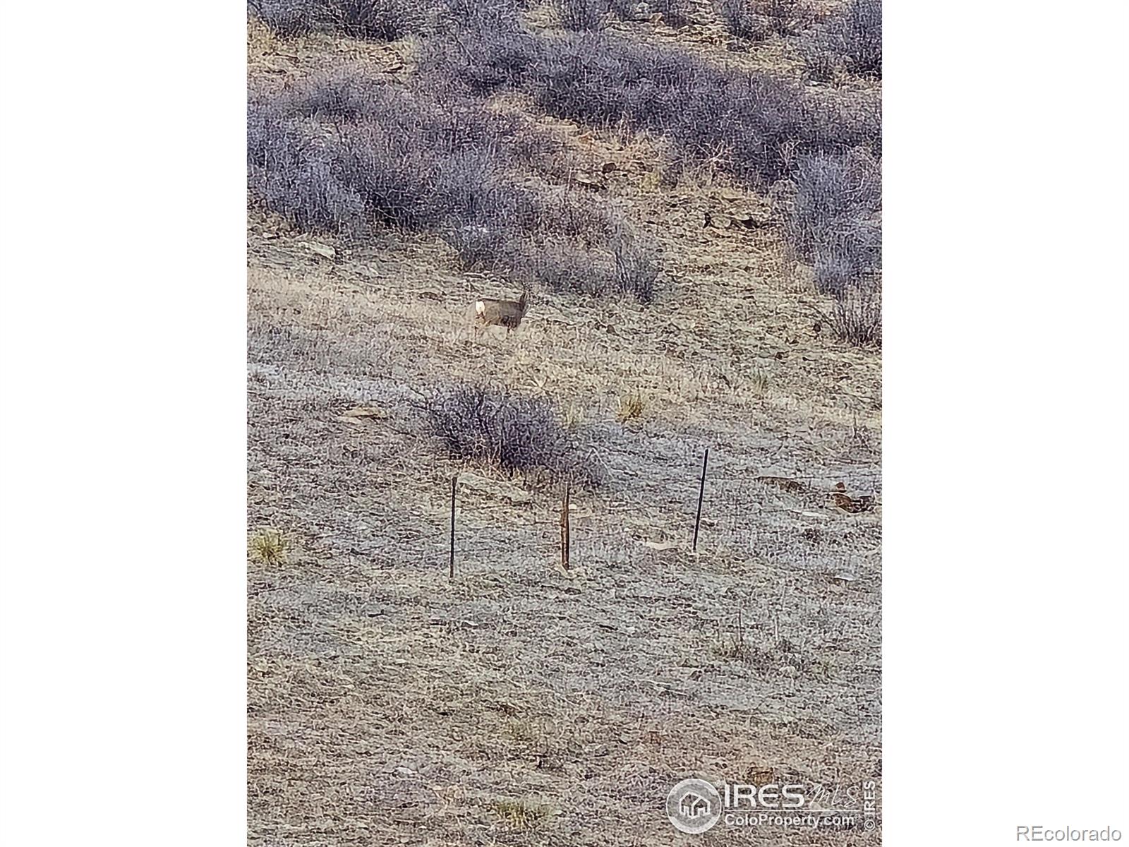 0 Beverly Drive Berthoud CO 80513
