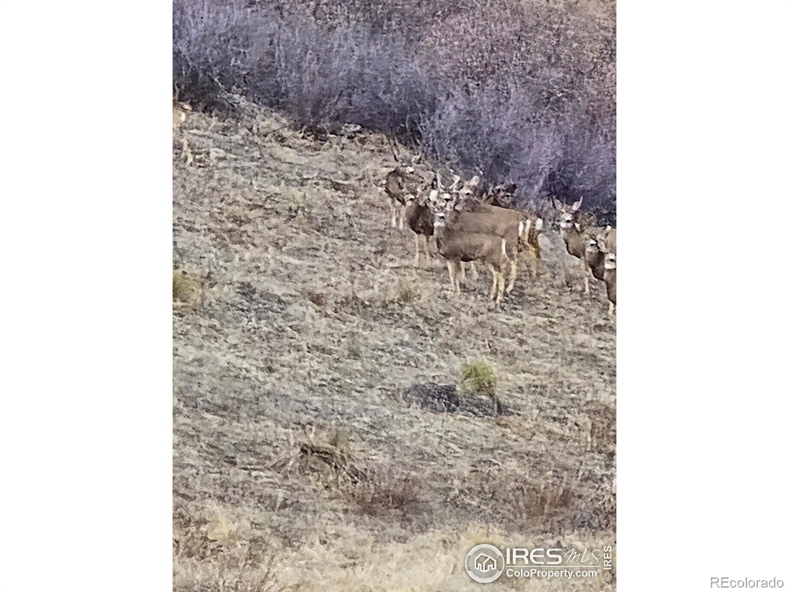 0 Beverly Drive Berthoud CO 80513