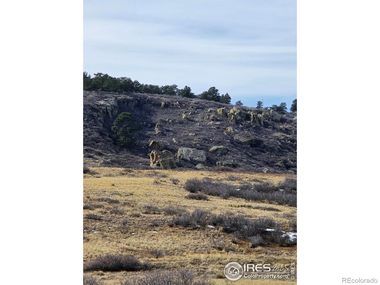 0 Beverly Drive Berthoud CO 80513
