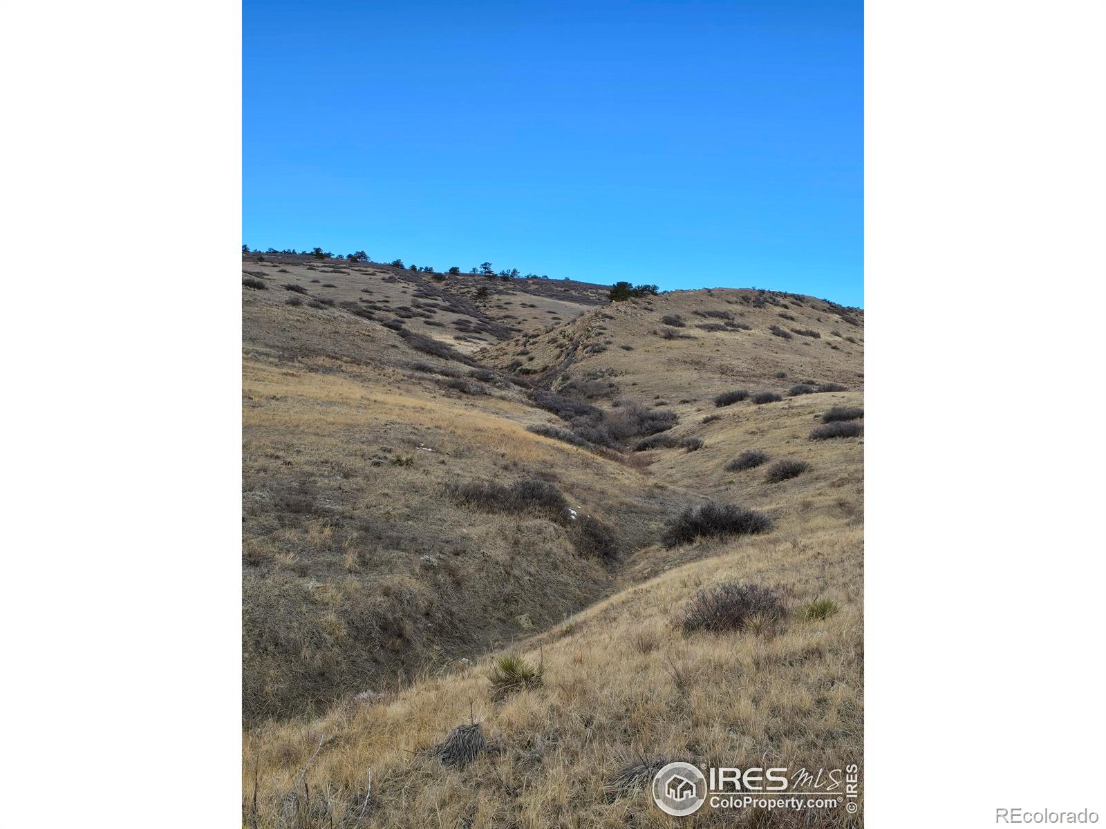0 Beverly Drive Berthoud CO 80513