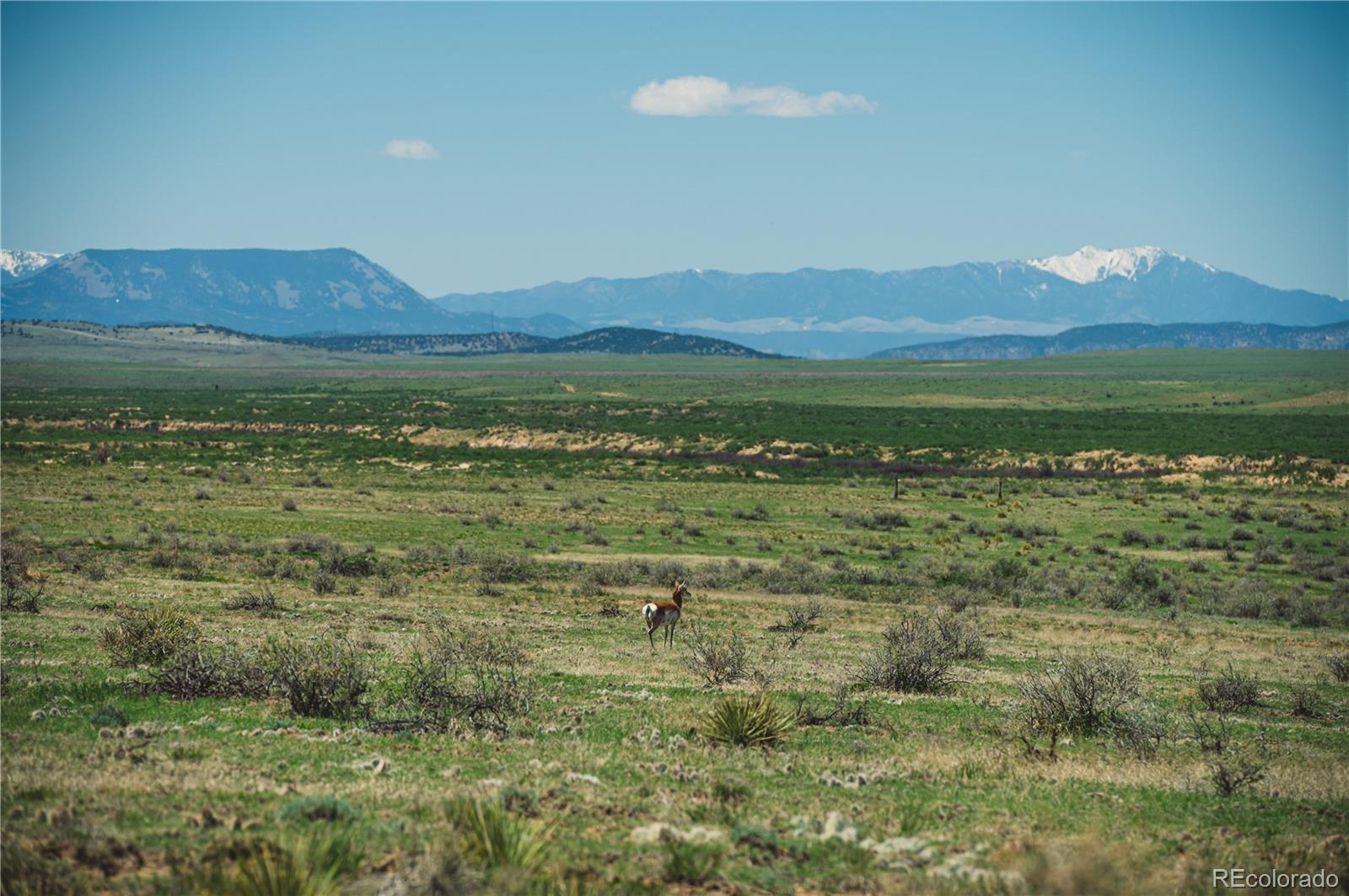 Lot 262 County Road 103 Walsenburg CO 81089