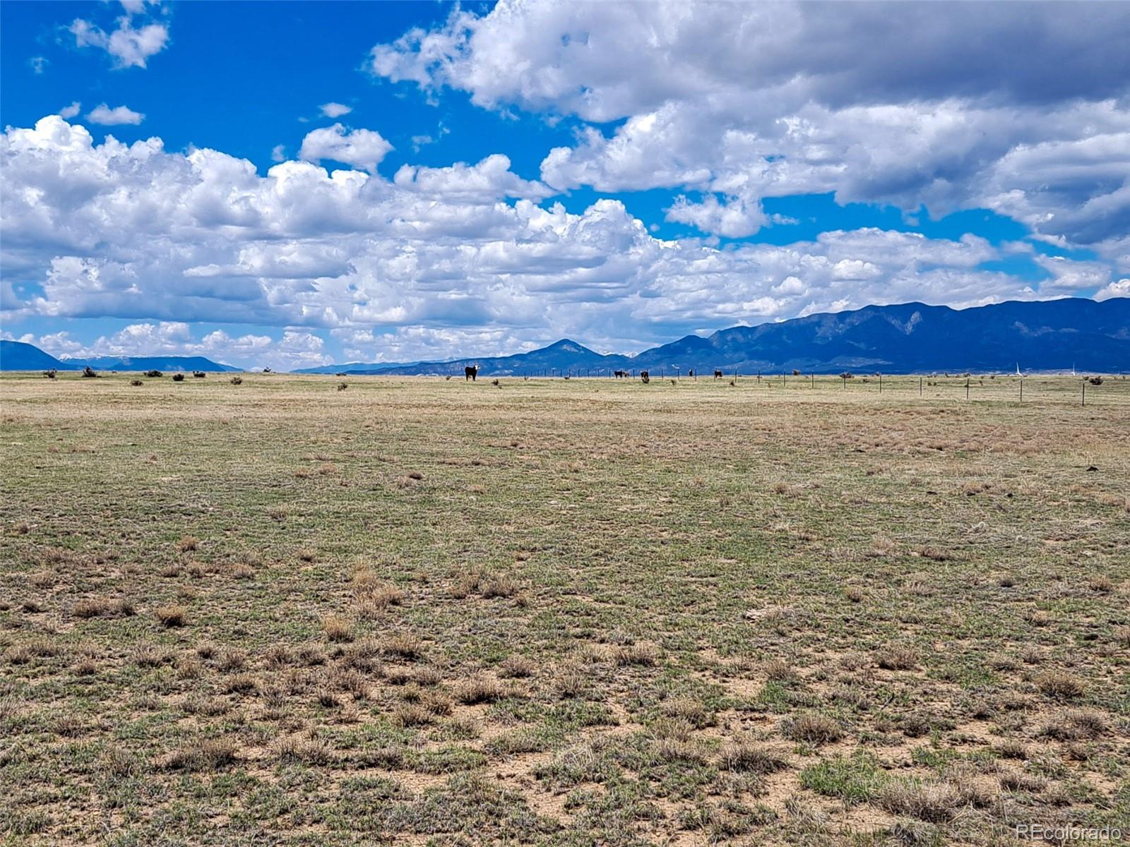 Lot 262 County Road 103 Walsenburg CO 81089