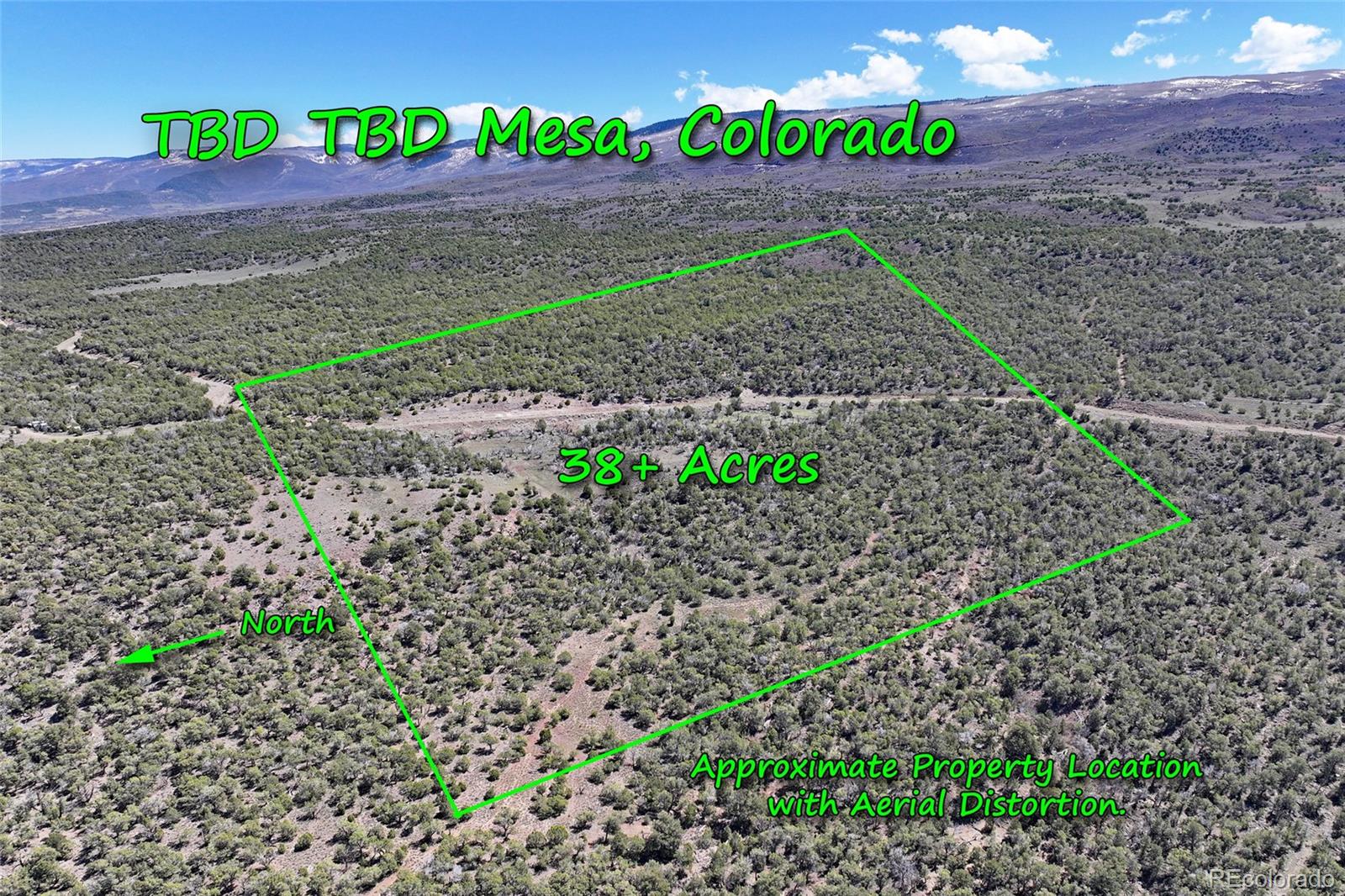 Tbd Lot 4 Tbd Mesa CO 81643