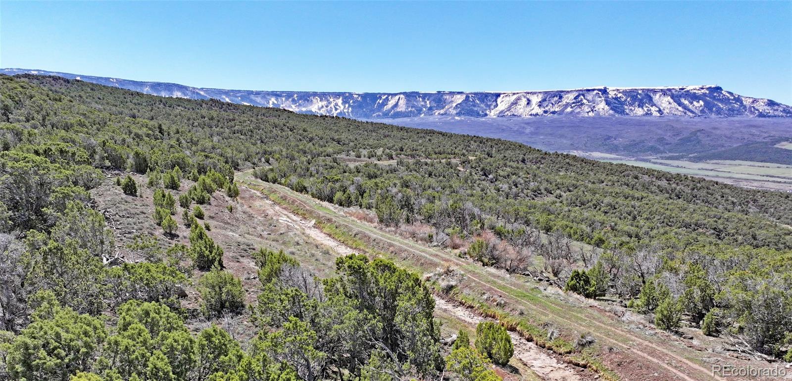 Tbd Lot 4 Tbd Mesa CO 81643