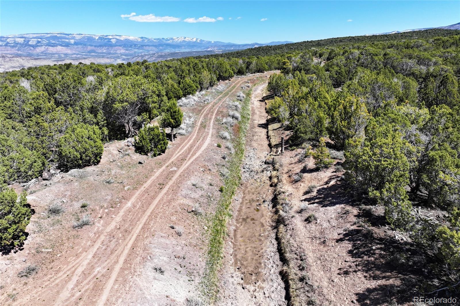 Tbd Lot 4 Tbd Mesa CO 81643