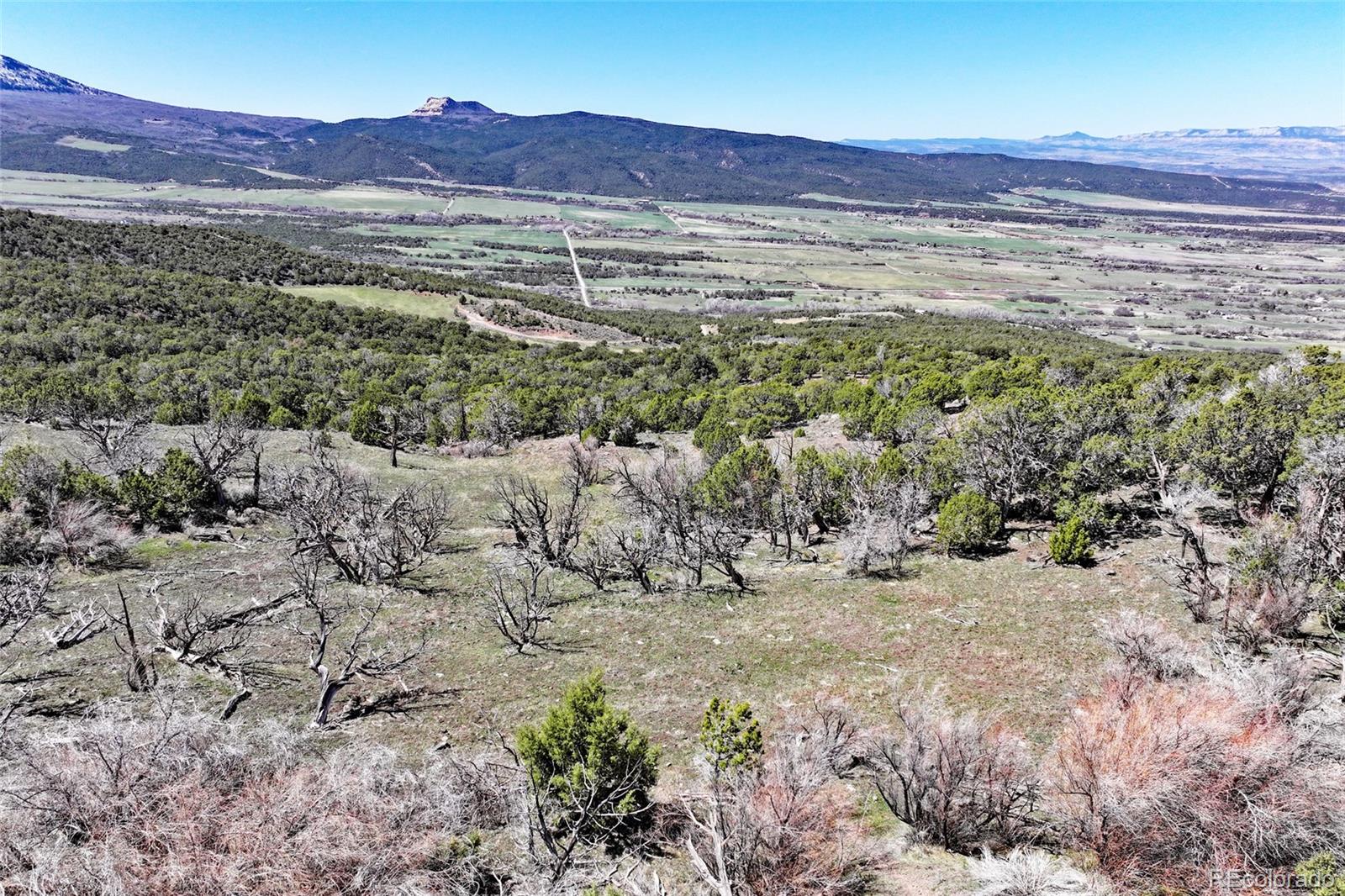 Tbd Lot 4 Tbd Mesa CO 81643