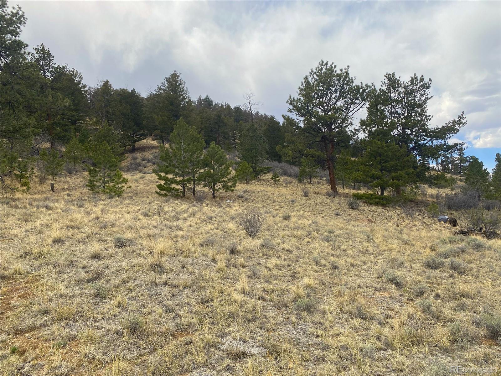 381 Red Cloud Road Hartsel CO 80449