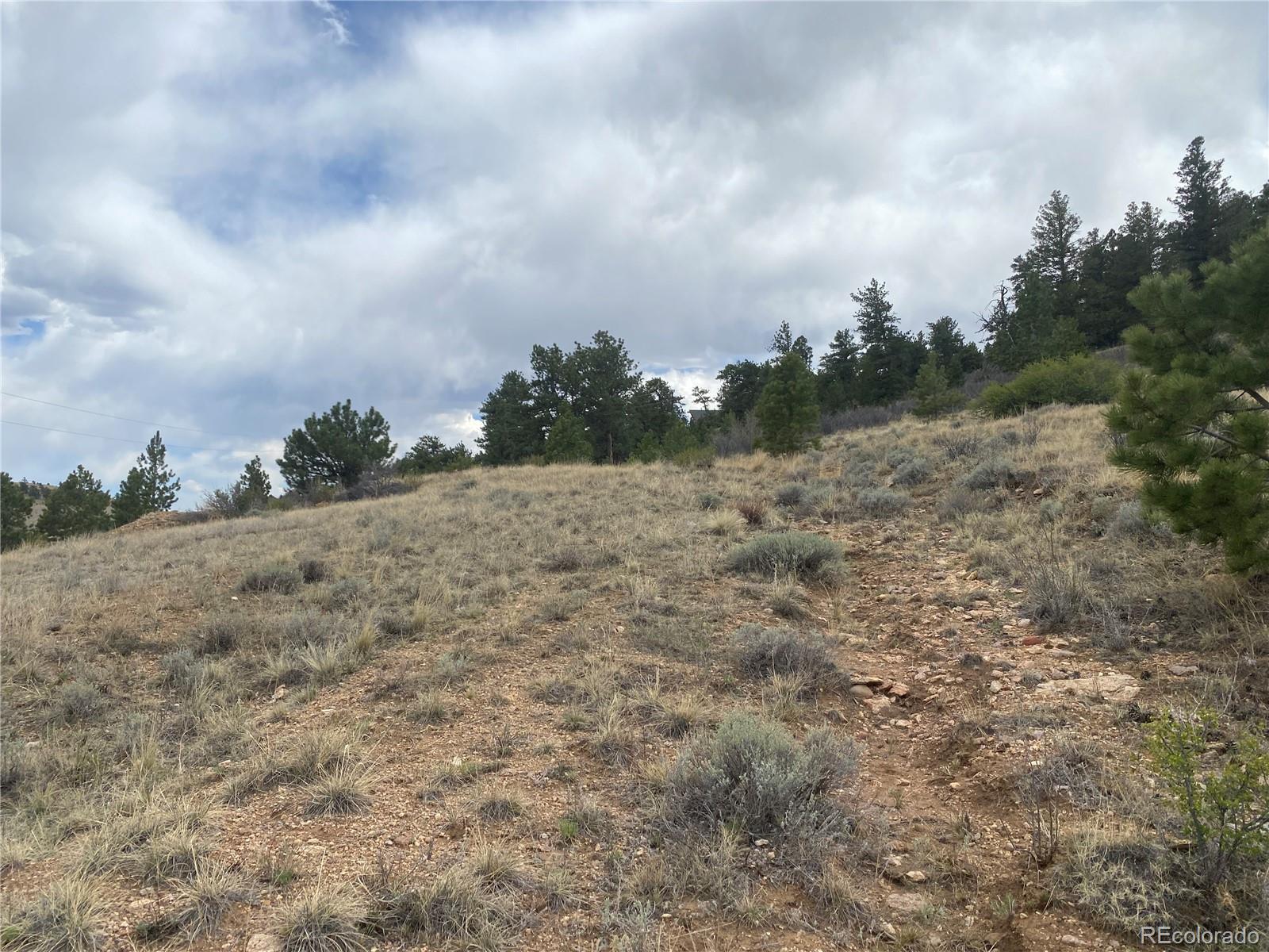 381 Red Cloud Road Hartsel CO 80449