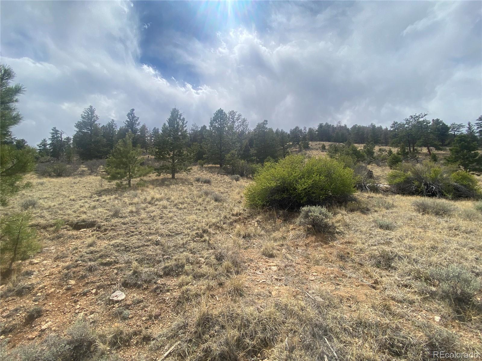 381 Red Cloud Road Hartsel CO 80449