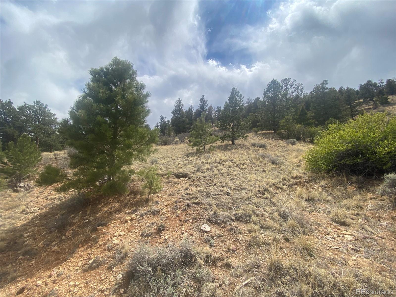 381 Red Cloud Road Hartsel CO 80449