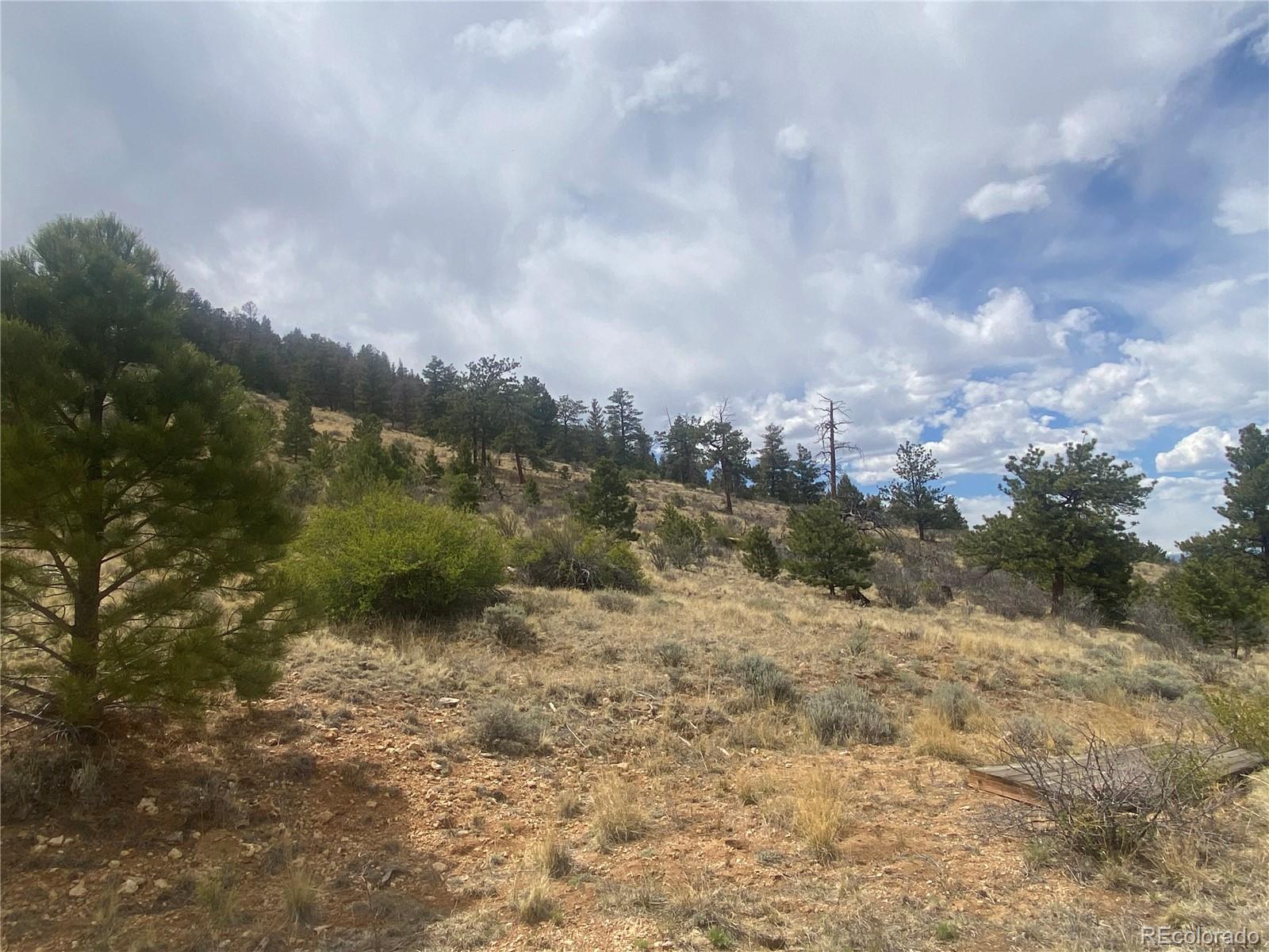 381 Red Cloud Road Hartsel CO 80449