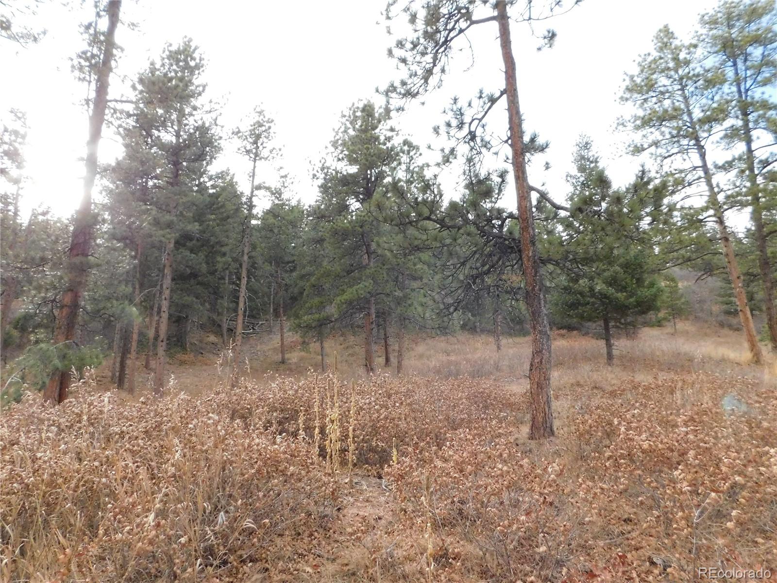 8055 Acoma Drive Larkspur CO 80118