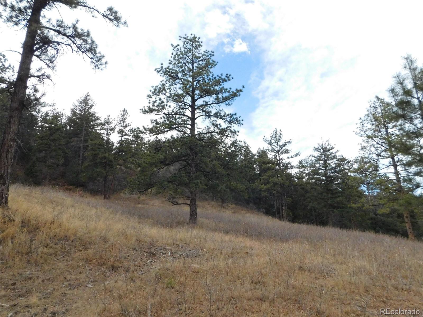 8055 Acoma Drive Larkspur CO 80118