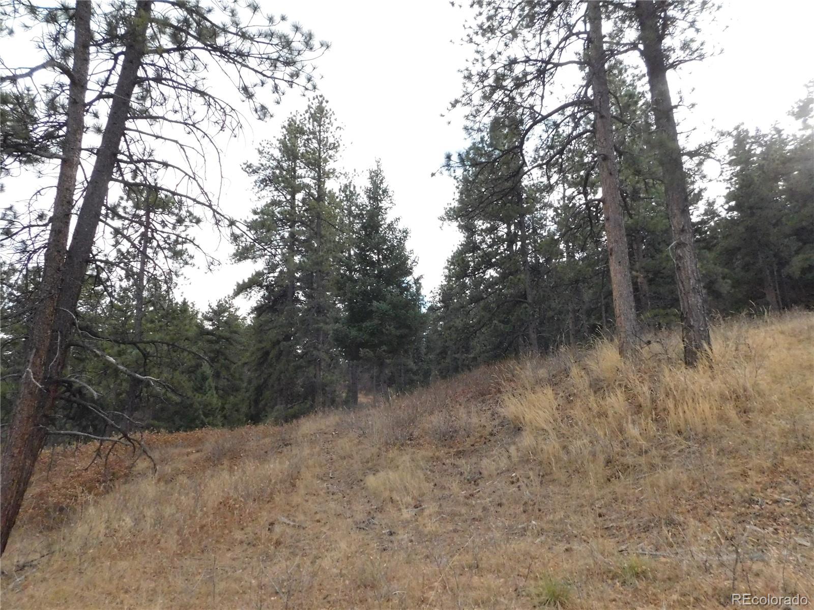 8055 Acoma Drive Larkspur CO 80118