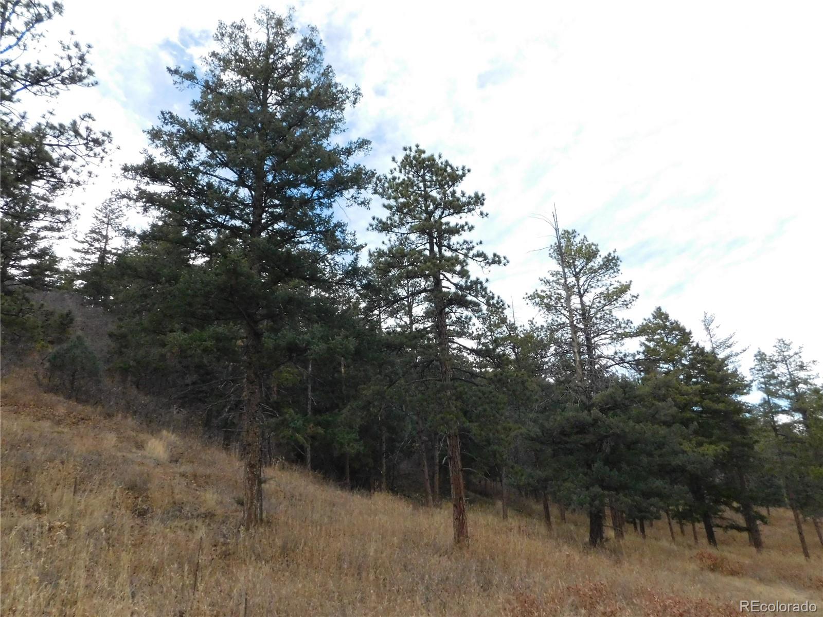 8055 Acoma Drive Larkspur CO 80118