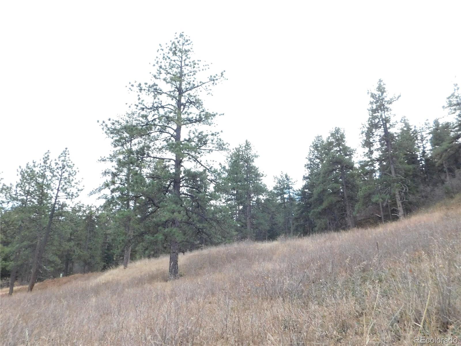 8055 Acoma Drive Larkspur CO 80118