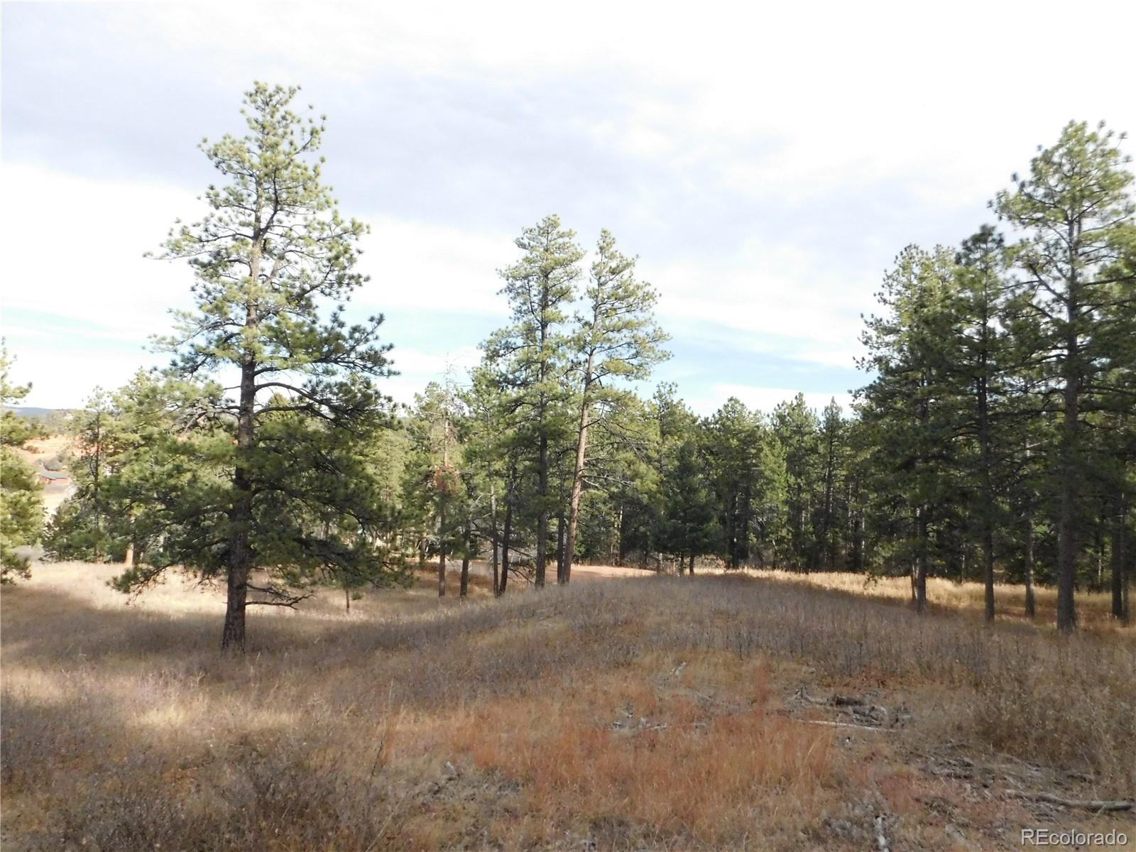8055 Acoma Drive Larkspur CO 80118