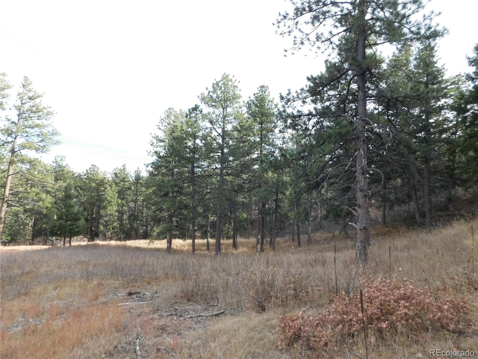 8055 Acoma Drive Larkspur CO 80118