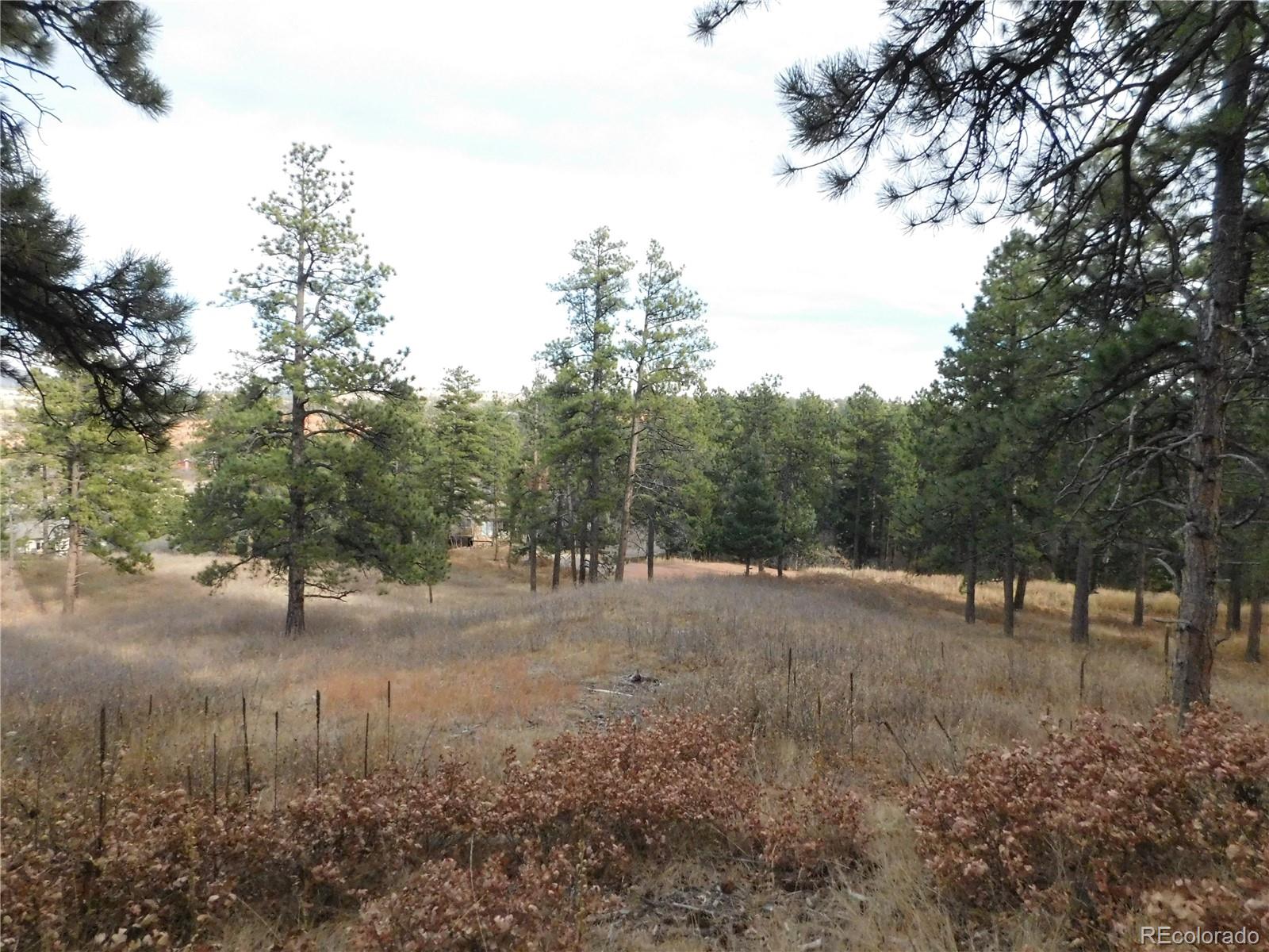 8055 Acoma Drive Larkspur CO 80118
